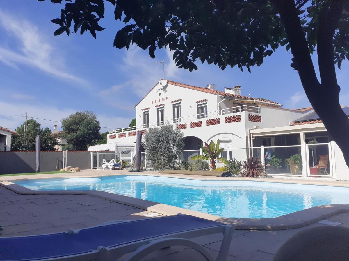 Apartment La Cigale Argeles - Studio Pyrenees Orientales Plage d'Argeles